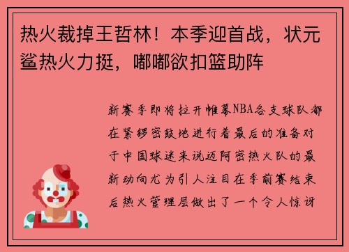 热火裁掉王哲林！本季迎首战，状元鲨热火力挺，嘟嘟欲扣篮助阵